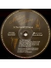 1404417		Modern Talking - In The Garden Of Venus - The 6th Album		Electronic, Synth-pop, Euro-Disco 	1987	  Music On Vinyl – MOVLP2865	S/S	Europe	Remastered	2023