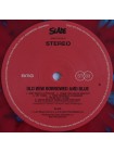 35006022	Slade - Old New Borrowed And Blue	" 	Glam, Hard Rock"	Splatter, Gatefold, Limited	1974	" 	BMG – BMGCAT503LP"	S/S	 Europe 	Remastered	15.10.2021