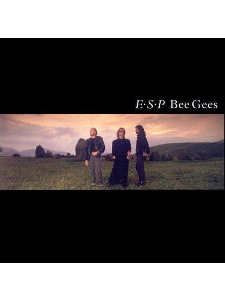 500146	Bee Gees – E•S•P	1987	Warner Bros. Records – WX 83, Warner Bros. Records – 925 541-1	EX/EX	Europe